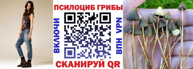 Галлюциногенные грибы прущие грибы  Купить  Сортавала 